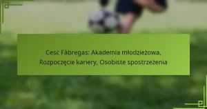 Cesc Fàbregas: Akademia młodzieżowa, Rozpoczęcie kariery, Osobiste spostrzeżenia
